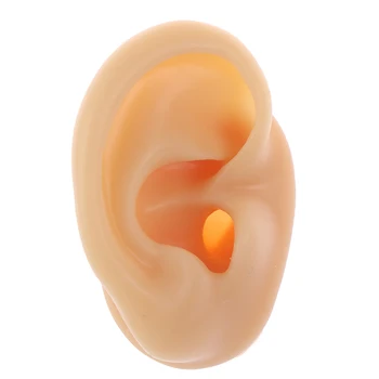 1st Silikon Örat Modell Praktiken Piercing Verktyg öronstift Verktyg för att Visa Organ Smycken