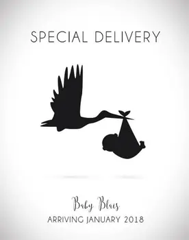 Anpassad 10st Baby Tillkännagivandet en Flaska Vin Etiketter Special Leverans Stork Bära ett Barn Graviditet Tillkännagivande flaska klistermärken