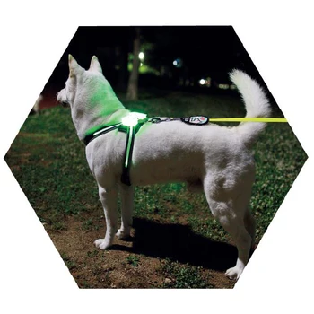 Dogled sele Pet Produkter för Stora 7 i 1 färg Hunden Sele Glödande USB Led Krage Valp Leda Husdjur Vest Hund Leder