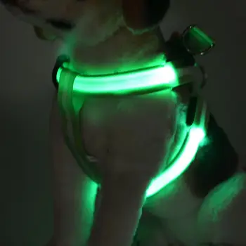 FD40 hund utnyttja LED-ljus pet bälte självlysande hund sele för medium large hund