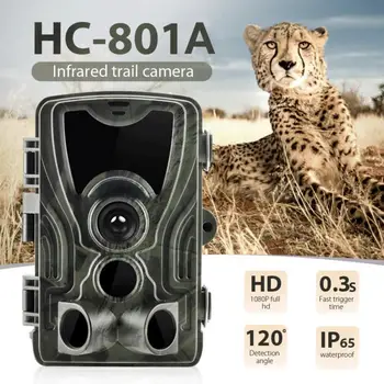 HC801A Jakt Kameran Vilda djur Kameran mörkerseende Rörelse Aktiveras Utomhus Tillbehör Spår Kameran Utlösa Vilda djur Scouting