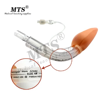 MTS Medicinsk dubbel-avdelningen silikon laryngeala mask Disponibla anestesi laryngeala luftvägarna för medicinsk undervisning