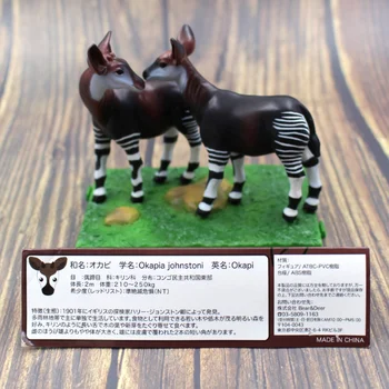 Pvc-figur Djur Modeller för Simulering av djurmodeller - Således Okapi Rådjur