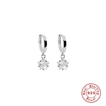 ROXI Fem-Pekade Star Kristaller Örhängen för Kvinnor att Släppa Bröllop Örhängen Brosk i 925 Sterling Silver Smycken Pendientes