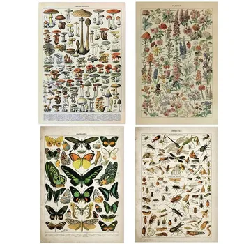 Vintage Adolphe Millot Uppslagsverk Duk Målning Fjäril Blommor Insekt Affischer och Utskrifter Vägg Konst för heminredning