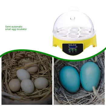 7 Ägg Inkubator Fågel Ägg Inkubator Semi-automatisk Miniatyr Ägg Inkubator Pigeon Hushåll Inkubatorer