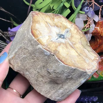 Naturliga Förstenat Trä Fossila Ursprungliga Sten Rå Bergskristall Kvarts Mineral Preparat Healing Reiki Heminredning