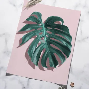 Rosa, Grön Tropisk Stora Blad Och Växter I Norden Affischer Och Utskrifter Wall Art Print Canvas Att Måla Väggen Bilder För Vardagsrummet