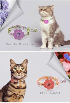 UFBemo Katt Krage Halsband Katter Produkter för Husdjur Valp Krage Rosa med Bell Breakaway Säkerhet Kattunge Tillbehör Chihuahua